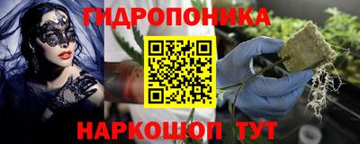 альфа пвп Славгород