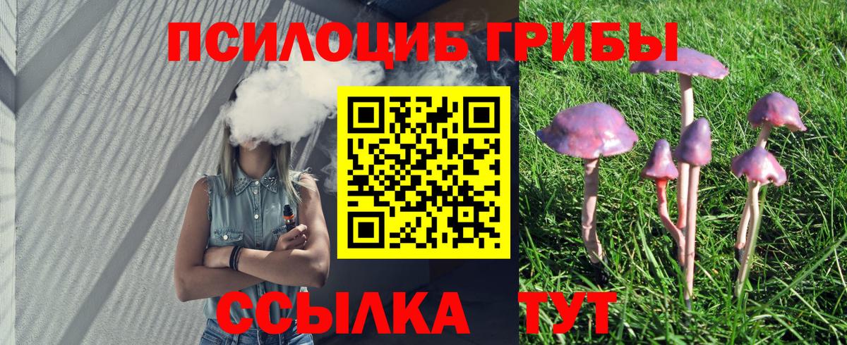 Псилоцибиновые грибы Psilocybe  Вход с VPN  Новороссийск 