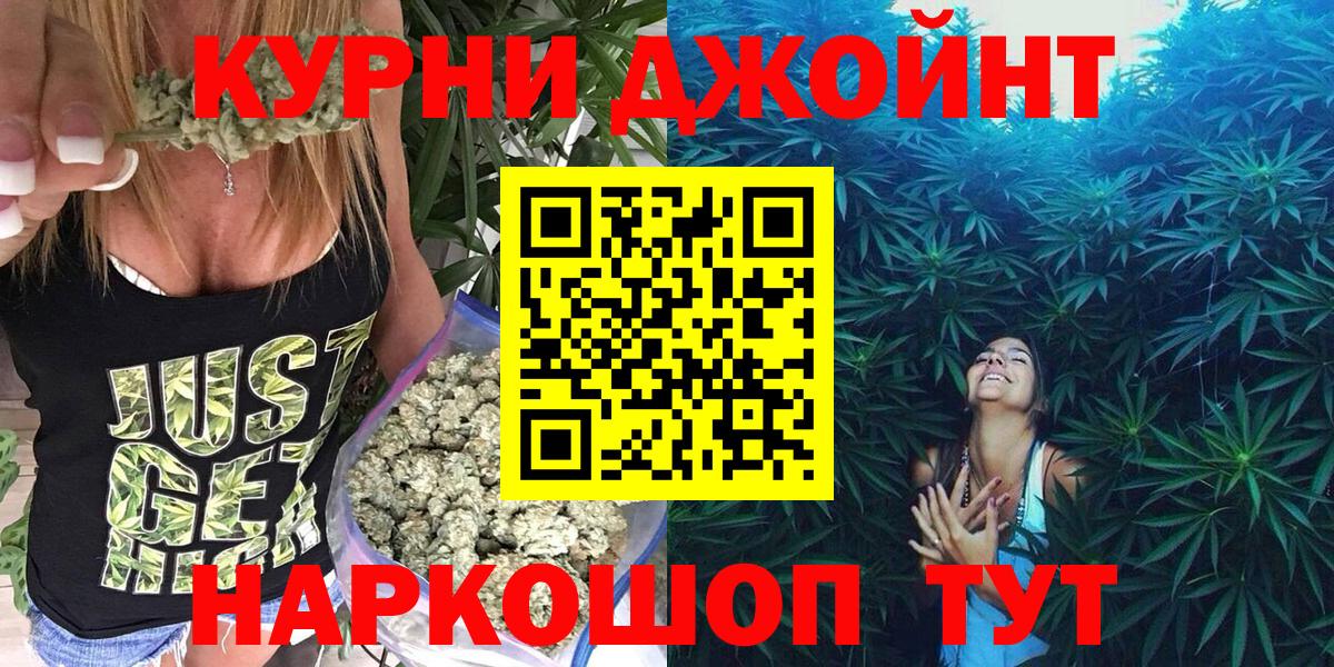Шишки марихуана марихуана Новороссийск